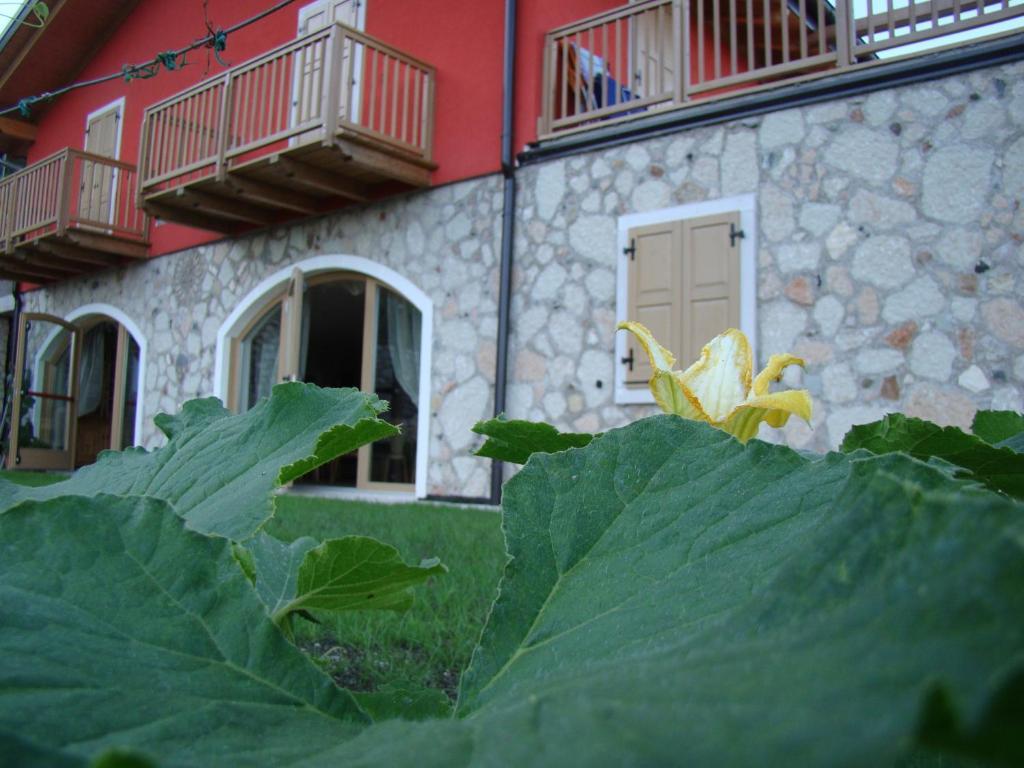 Villa Agritur Maso Spezial Villa Lagarina Exterior foto