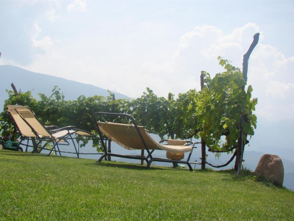 Villa Agritur Maso Spezial Villa Lagarina Exterior foto