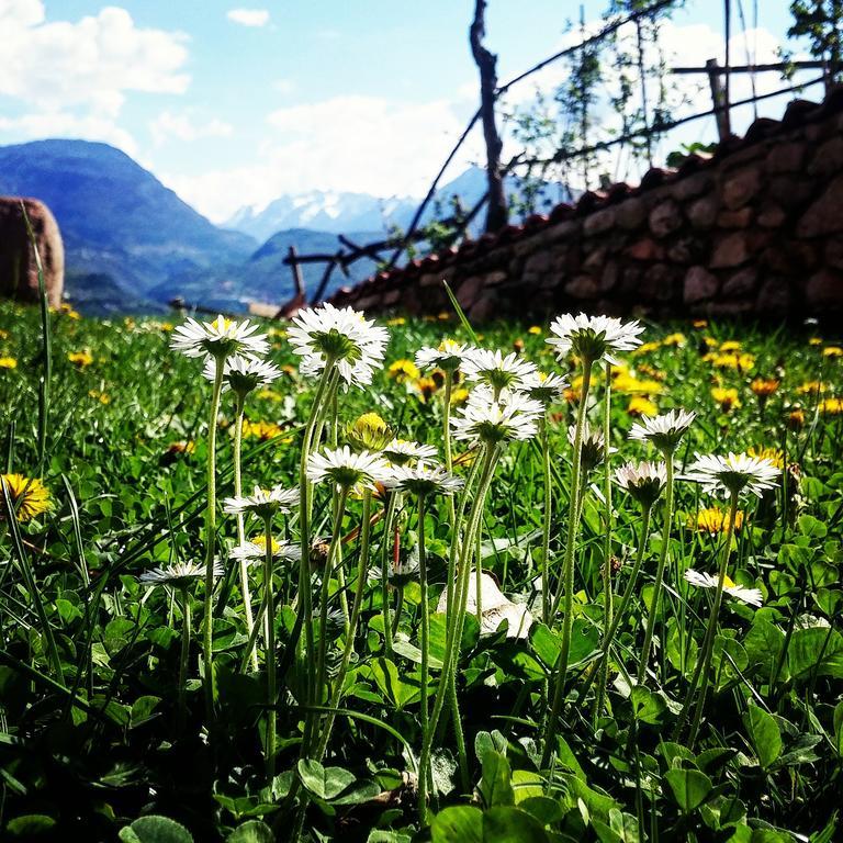 Villa Agritur Maso Spezial Villa Lagarina Exterior foto